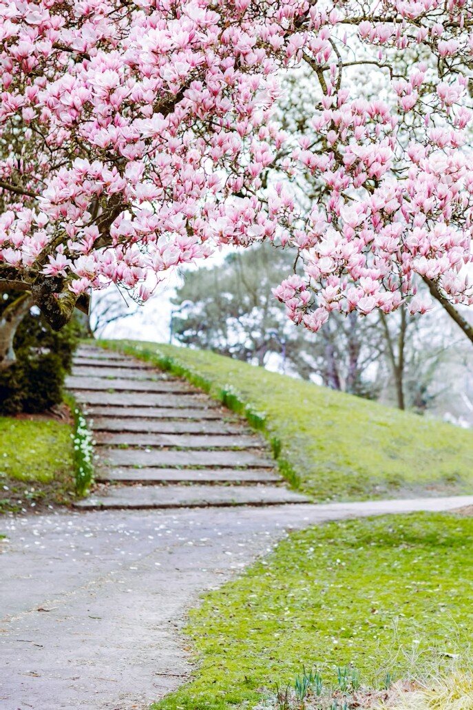 pvx plus newsletter, edias newsletter